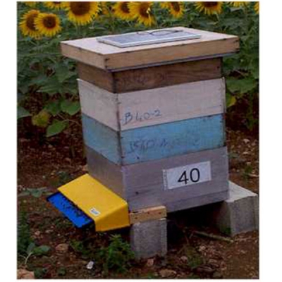 BeeSCAN蜜蜂計(jì)數(shù)器